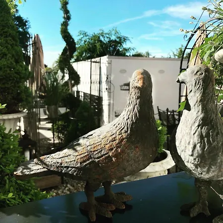 Bed and Breakfast Aebis 4*