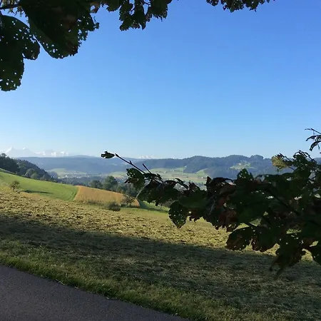 Landcafe Mit Mini
