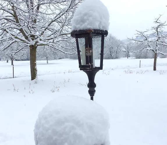 Aebis فندق مبيت وإفطار بورغدورف